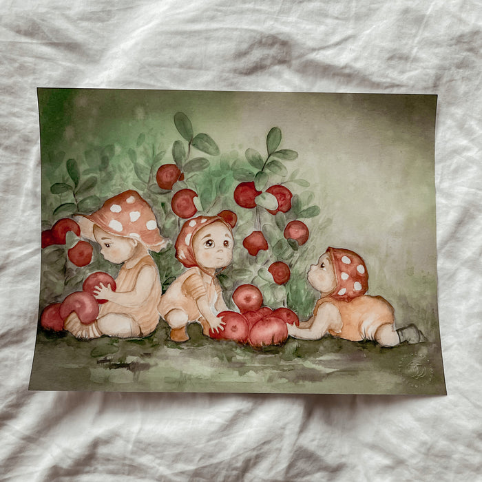 Lingonberry Babies