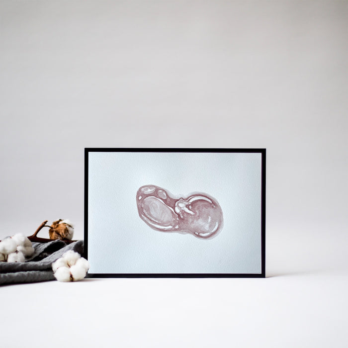 Sonogram Art pink color 