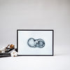 cotton stories sonogram art
