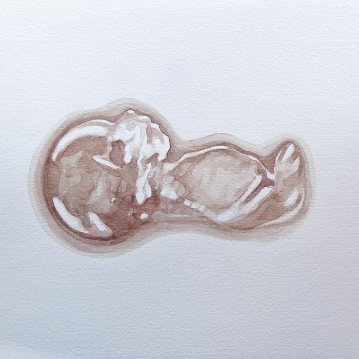 Ultrasound Art