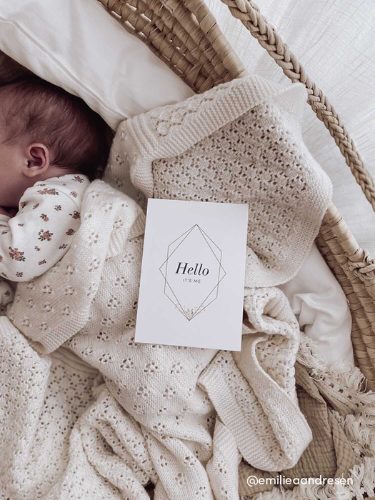 Pregnancy Milestone Cards